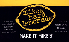 Steve Kaye Case History Mike's
